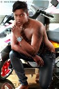 Foto Boy Annunci Pisa Ramon Mulatto Brasiliano - 4