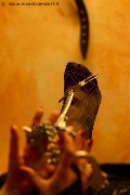 Foto Mistress Annunci Marina Di Carrara Lady De Sade Italy - 6