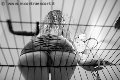 Foto Mistress Annunci Verona Lady Giuliette - 16