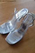 Foto Mistresstrans Annunci Milano Amy The Best - 44