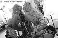 Foto Mistresstrans Annunci Verona Lady Kika Doncato - 5