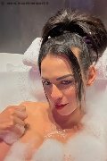 Conegliano Trans Natalia Rodrigues Pornostar 392 11 96 784 foto selfie 3