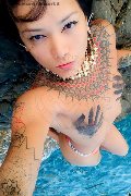 Firenze Trans Escort Jj La Numero Uno 351 45 55 713 foto selfie 18