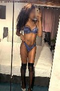 Legnano Trans Escort Miele 331 78 08 280 foto selfie 21