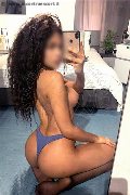 Legnano Trans Escort Miele 331 78 08 280 foto selfie 25