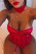 Milano Trans Escort Zahib 331 34 92 008 foto selfie 3