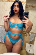 Novara Trans Escort Gabriella Rios 392 66 55 253 foto selfie 11