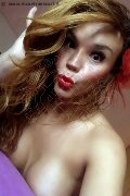 Rimini Trans Escort Angelica Pornostar 347 48 58 254 foto selfie 56