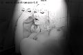 Foto Trans Annunci Francoforte Mary Ts - 7