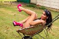 Foto Trans Annunci Gallarate Thalita Top Xxxl - 22