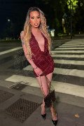 Foto Trans Annunci Milano Duda Castro - 49