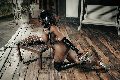 Foto Trans Annunci Padova Campbell - 138