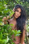 Foto Trans Annunci Parma Mandy Asiatica - 5