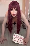 Foto Trans Annunci Tirana Bianca Occhiblu - 9