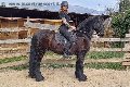 Foto Trans Annunci Treviso Valeria - 72