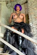 Foto Transescort Annunci Bergamo Erotika Flavy Star - 84