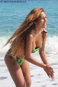 Foto Transescort Annunci Liisa Asiatica Ladyboy - 311