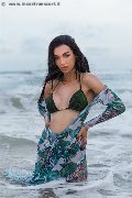 Foto Transescort Annunci Modena Vanessa Hilton - 113