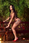 Foto Transescort Annunci Torino Sophie Vergara - 12