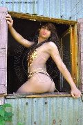 Foto Travescort Annunci Bologna Morena Boathy - 27