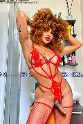 Foto Hot Trans Annunci Milano Stella - 5