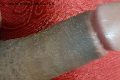 Prato Trans Tain� Oliveira 328 53 82 487 foto selfie 171