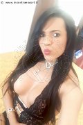 Lido Di Camaiore Trans Escort Amanda Soares 331 97 94 062 foto selfie 26