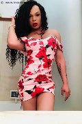Foto Trans Annunci Genova Dior - 527