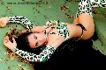 Foto Trans Annunci Giussano Bella Solare - 23