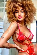 Foto Trans Annunci Milano Stella - 25