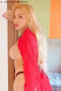 Foto Trans Annunci Nettuno Camelia - 71