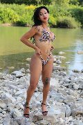 Foto Transescort Annunci Adriana Paulett - 388