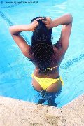 Foto Transescort Annunci Bologna Naomy Xl - 147